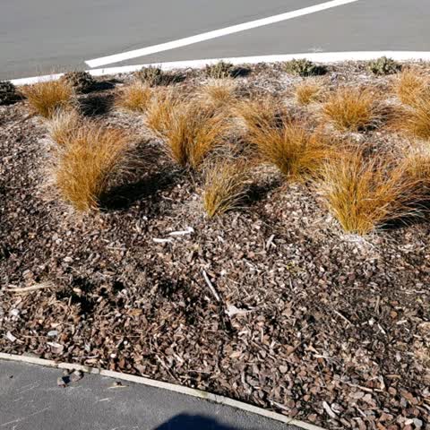 Parks, a report photo