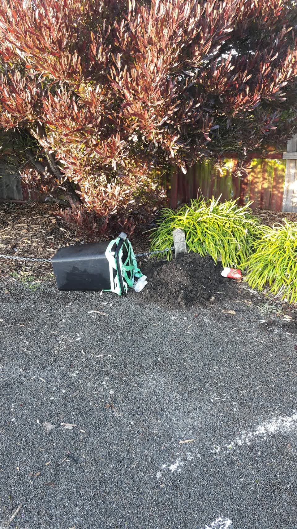 The photograph attached to this parks report