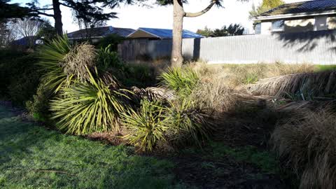 Parks, a report photo
