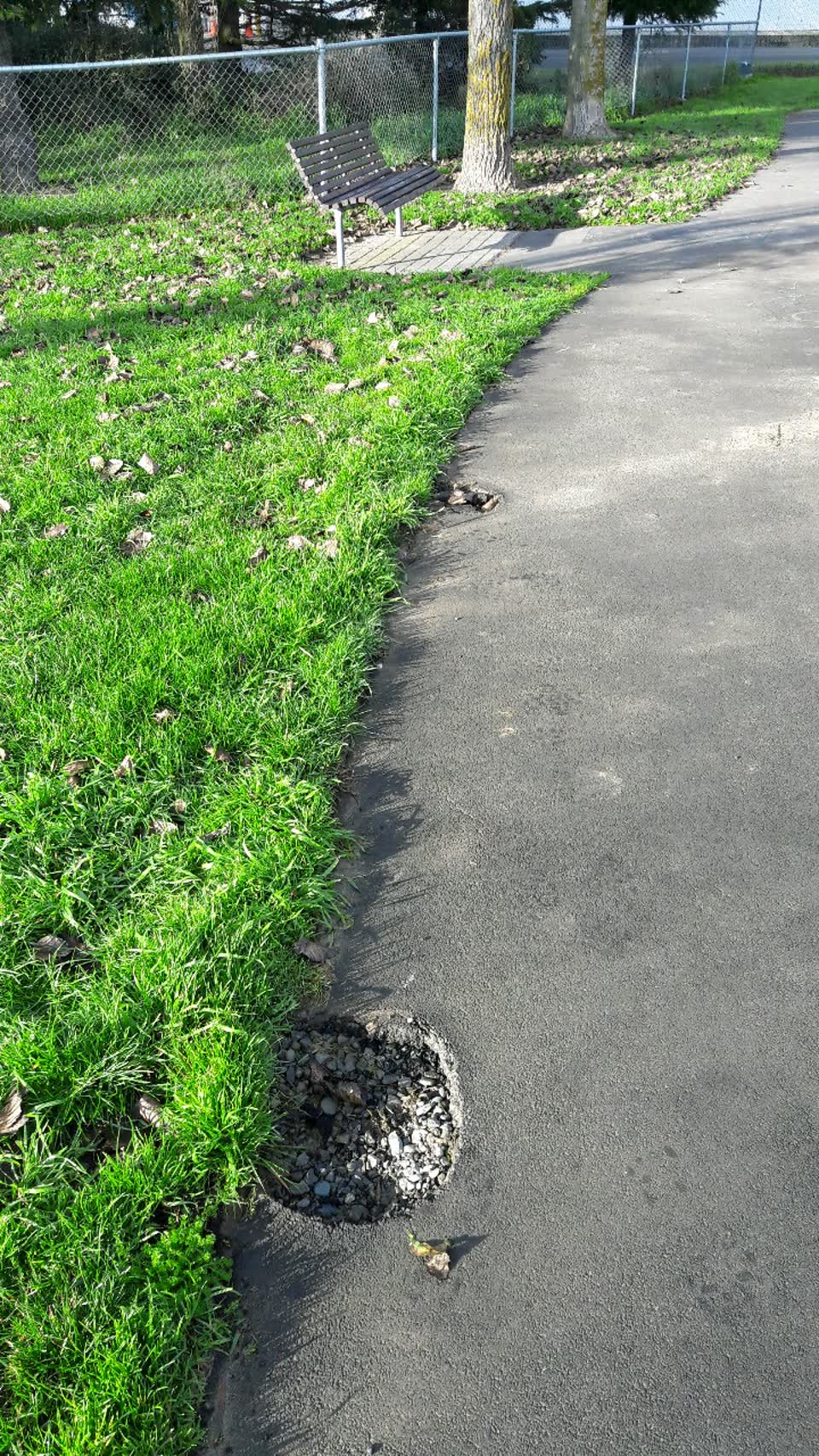 The photograph attached to this parks report