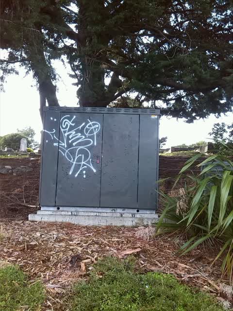 Graffiti — a report photo