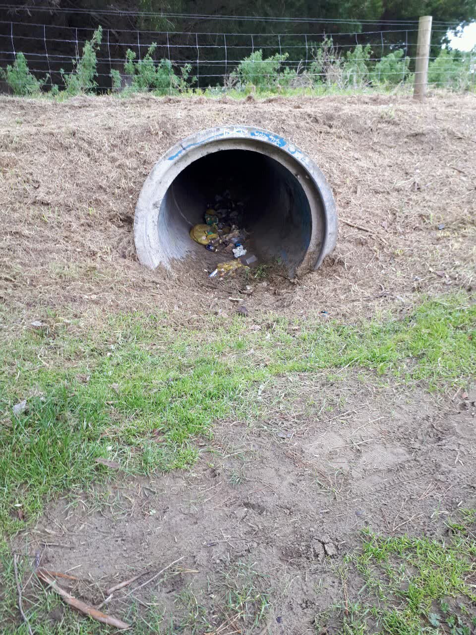 The photograph attached to this parks report