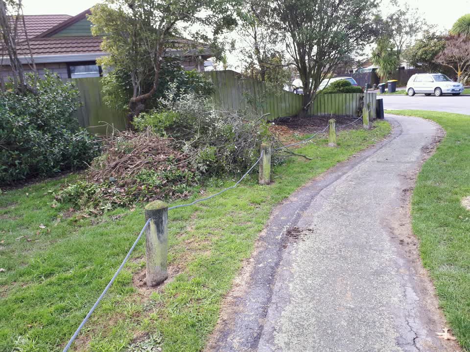 The photograph attached to this parks report