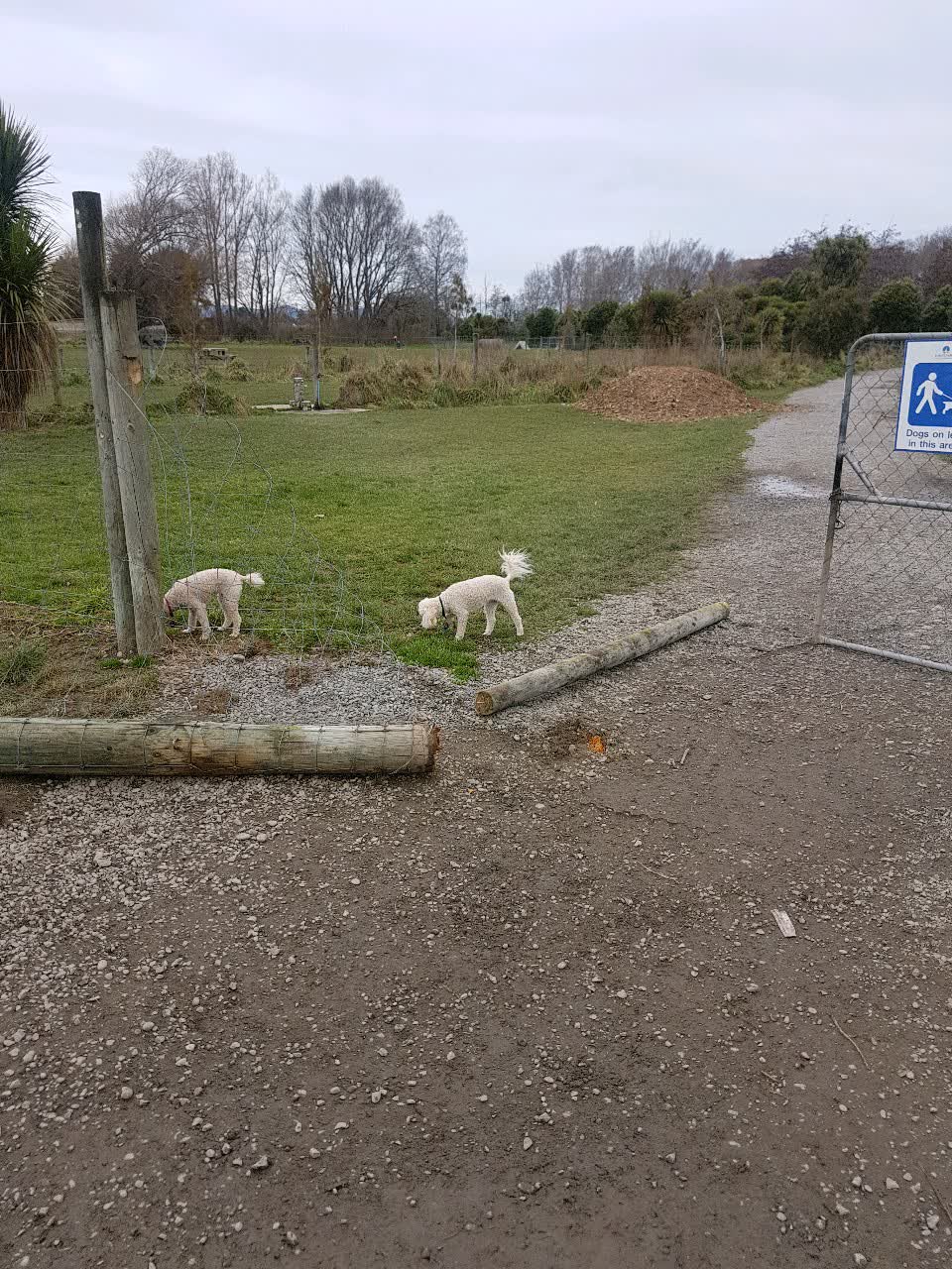 The photograph attached to this parks report
