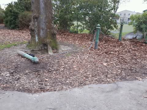 Parks, a report photo