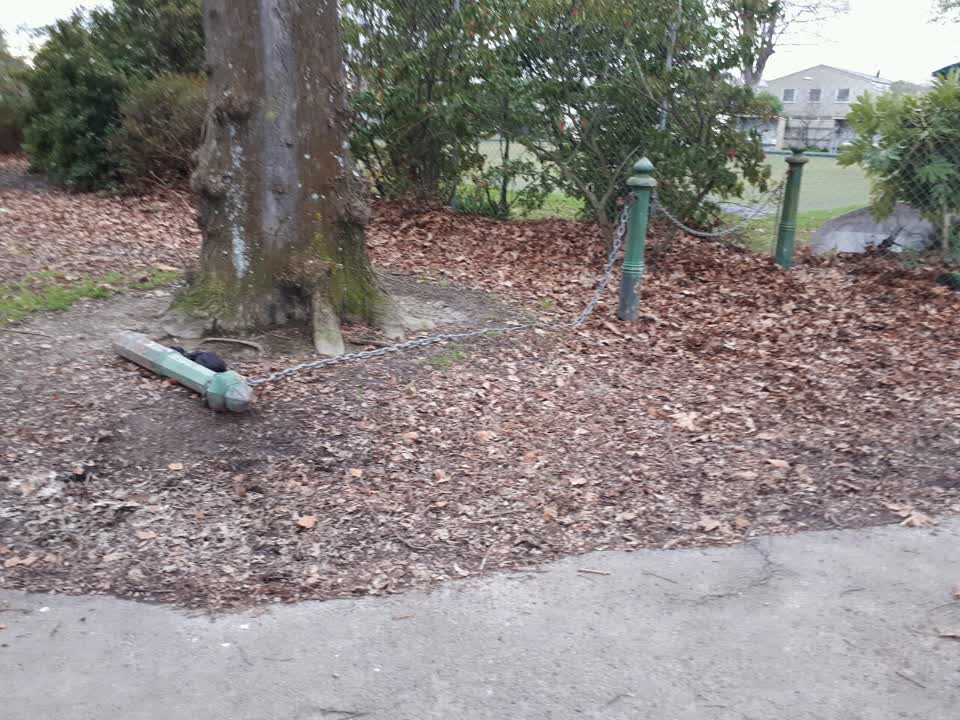 The photograph attached to this parks report