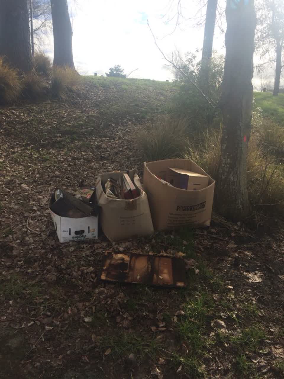 The photograph attached to this parks report