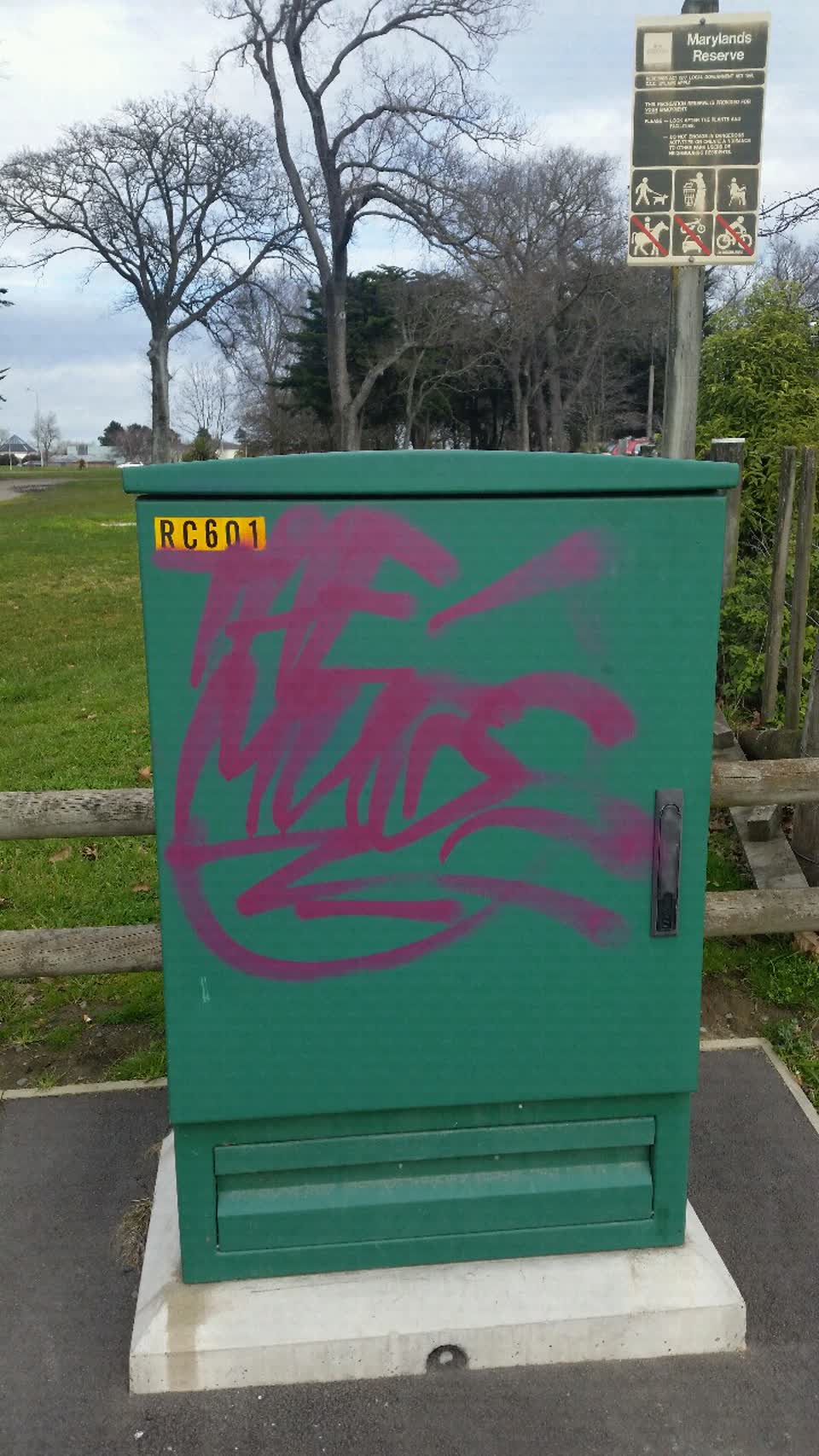 The photograph attached to this graffiti report