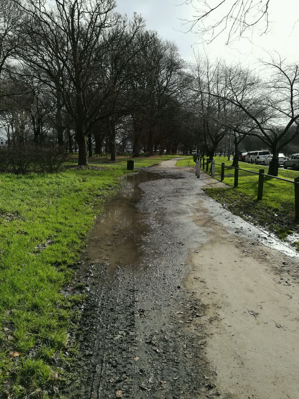 The photograph attached to this parks report