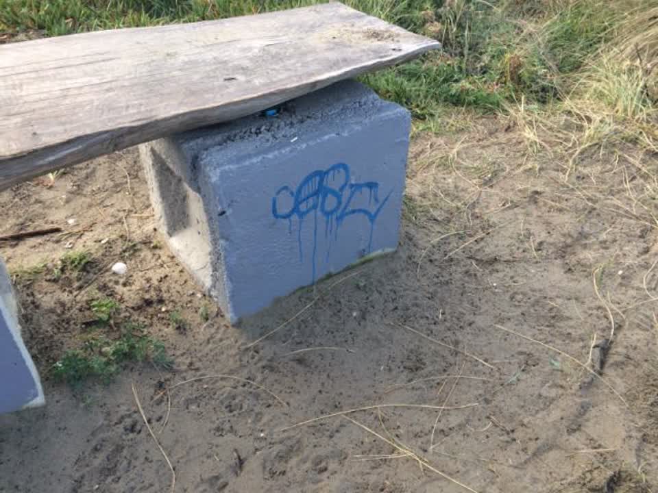 The photograph attached to this graffiti report