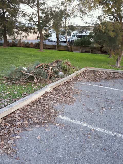 Parks, a report photo