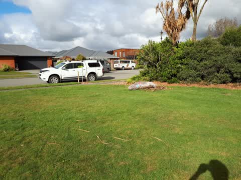 Parks, a report photo