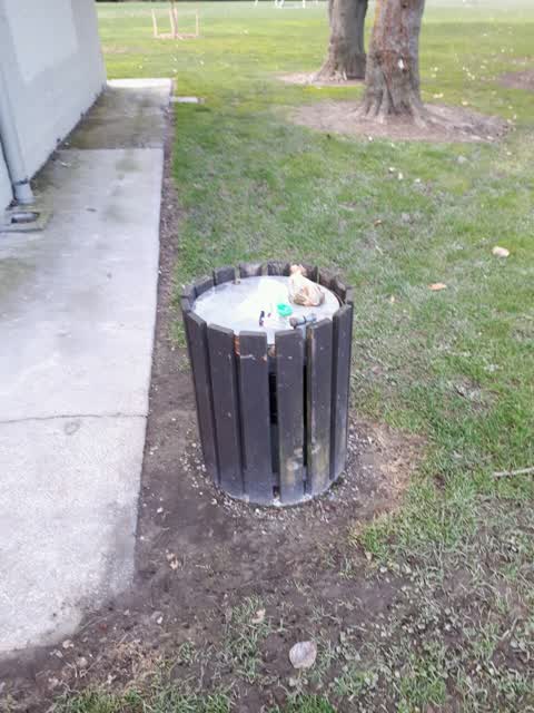 Parks, a report photo
