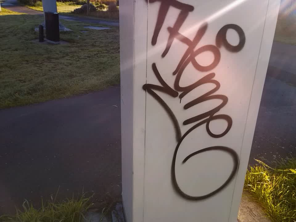 The photograph attached to this graffiti report