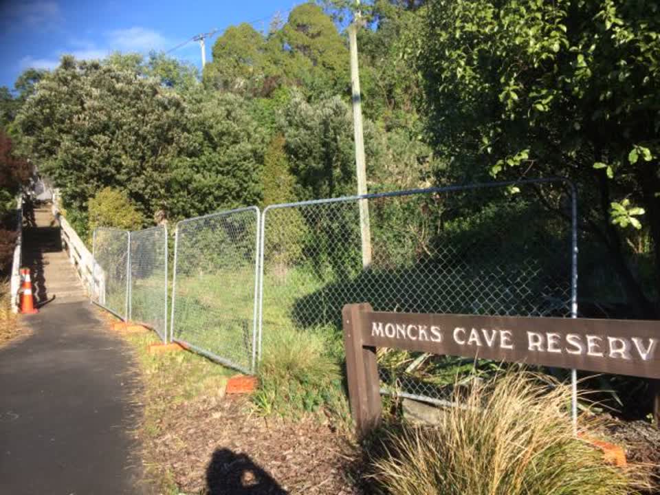 The photograph attached to this parks report