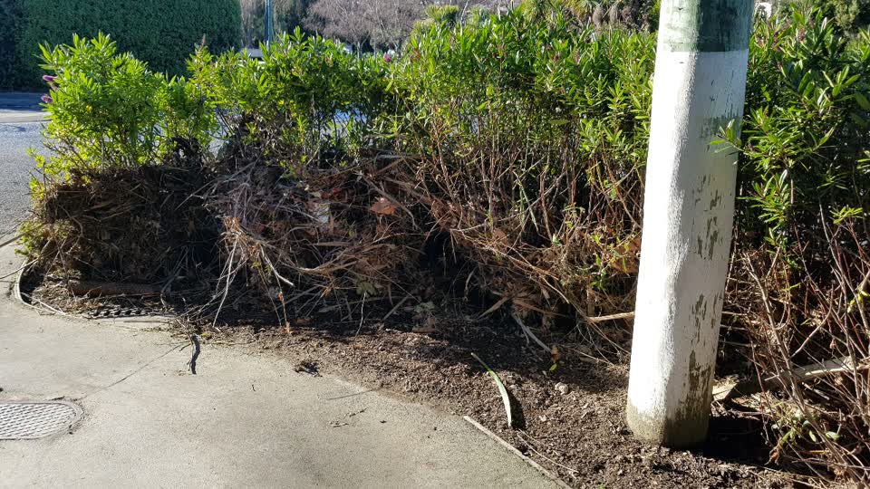 The photograph attached to this roading/streets report