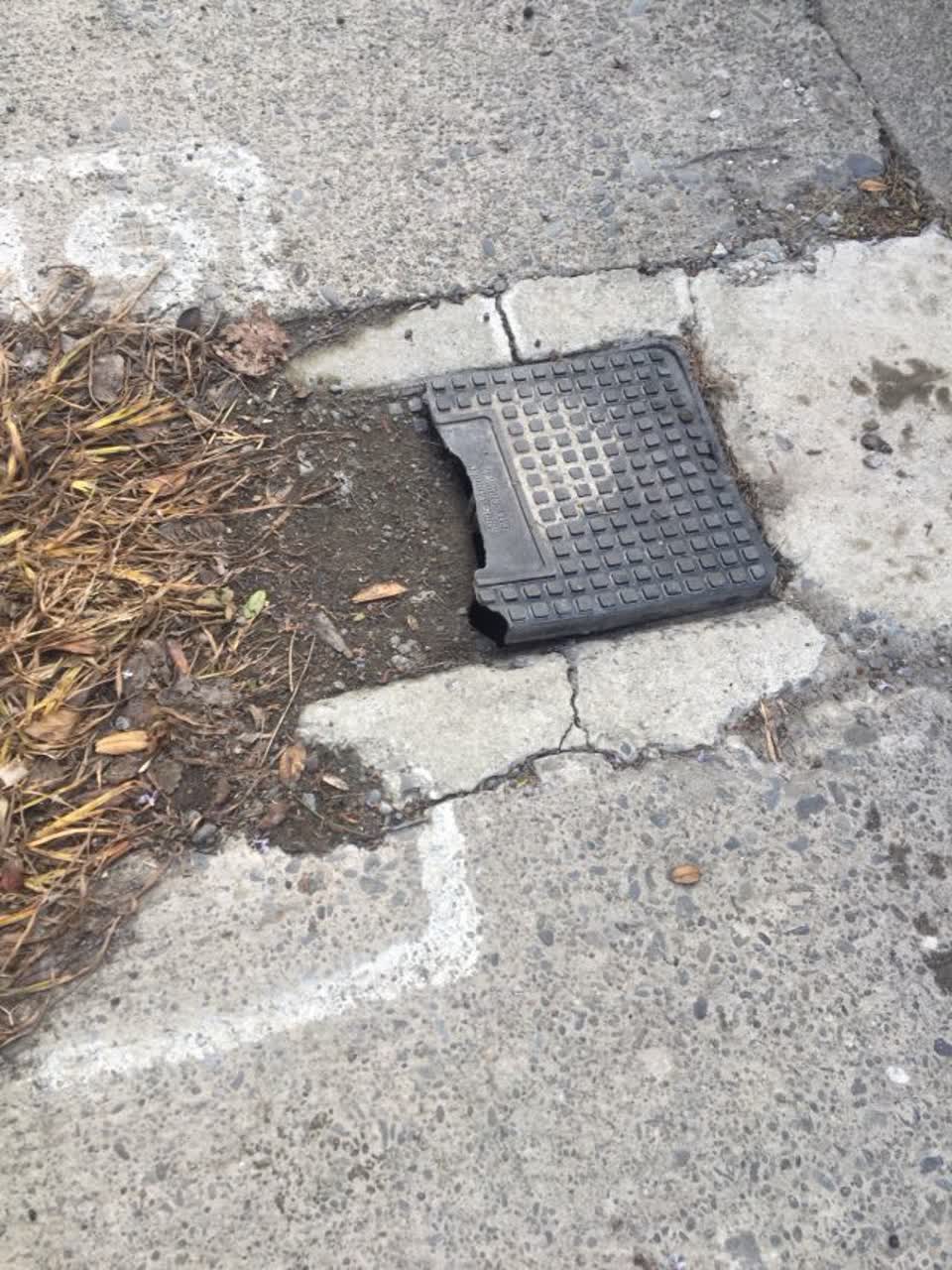 The photograph attached to this water supply report