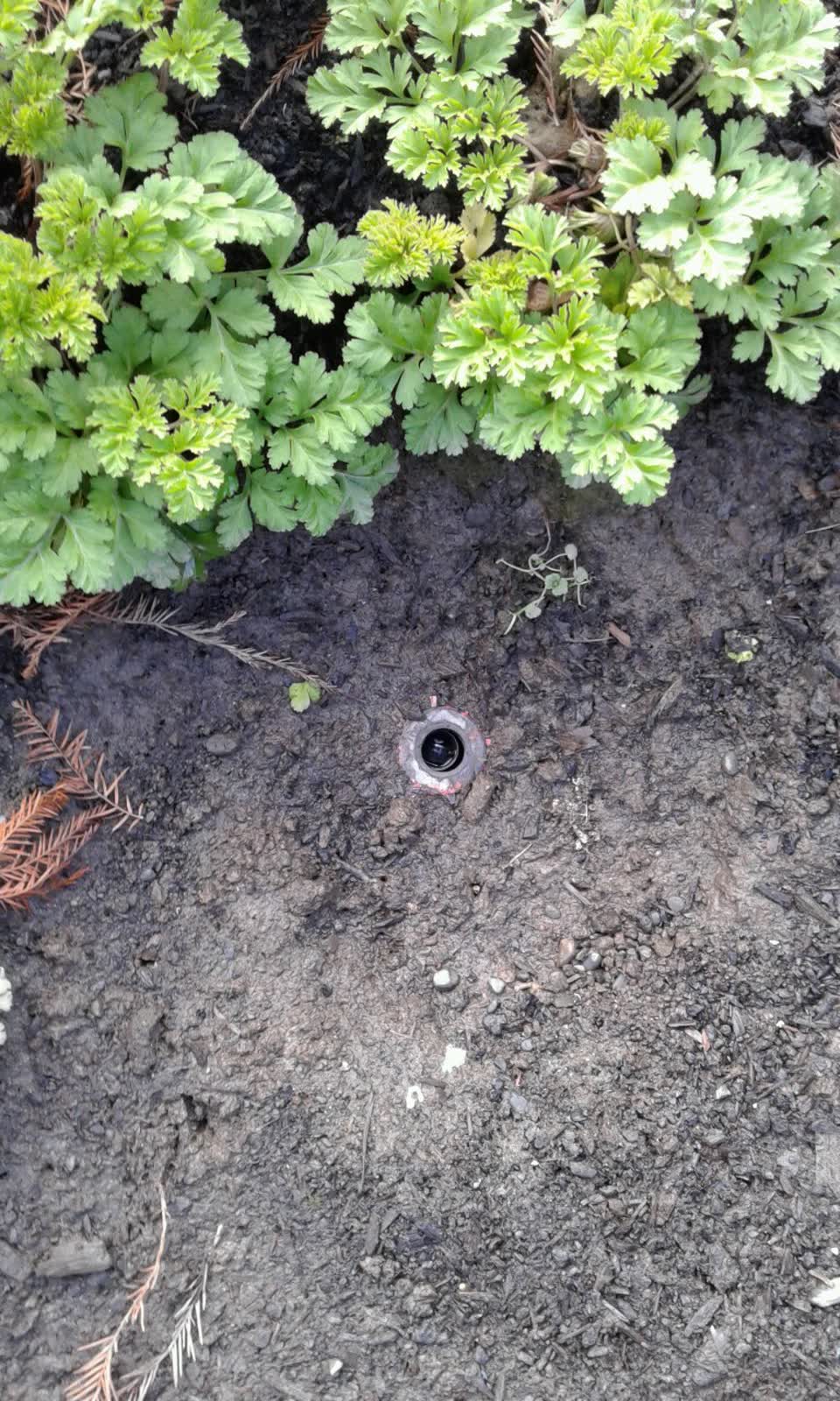 The photograph attached to this parks report