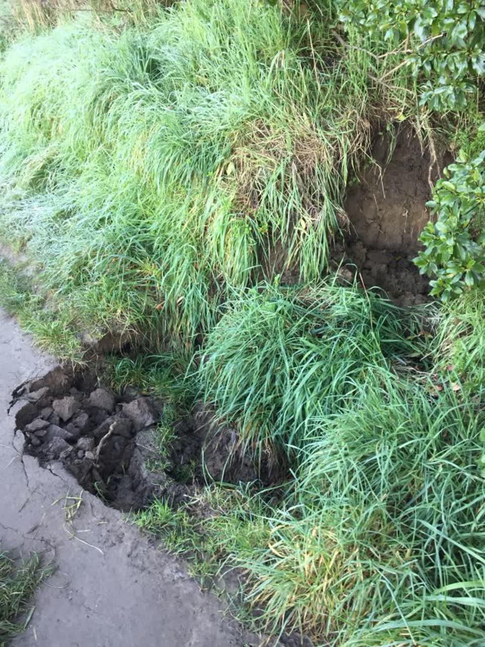 The photograph attached to this parks report