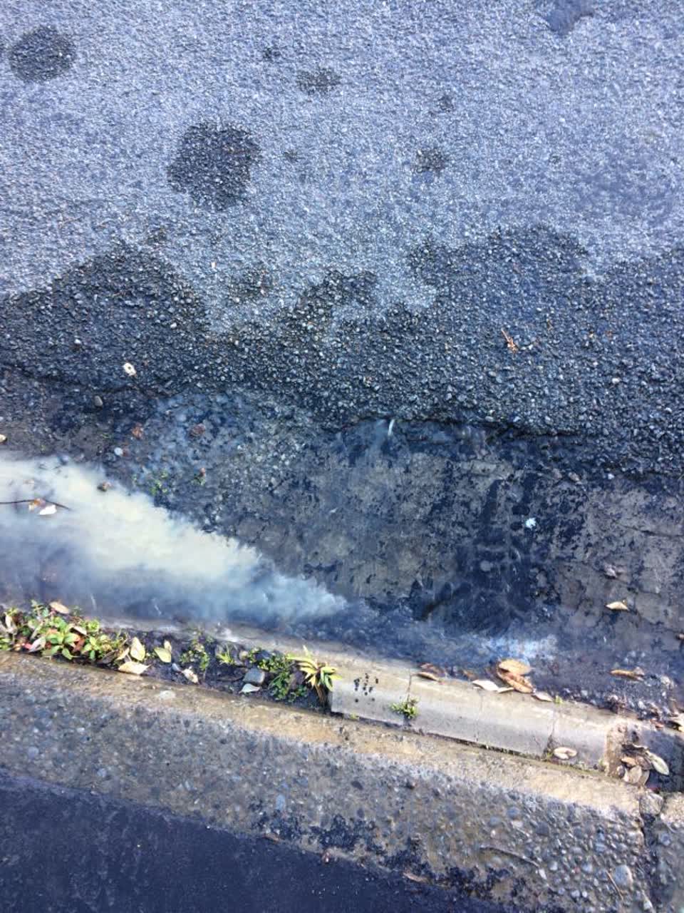 The photograph attached to this water supply report