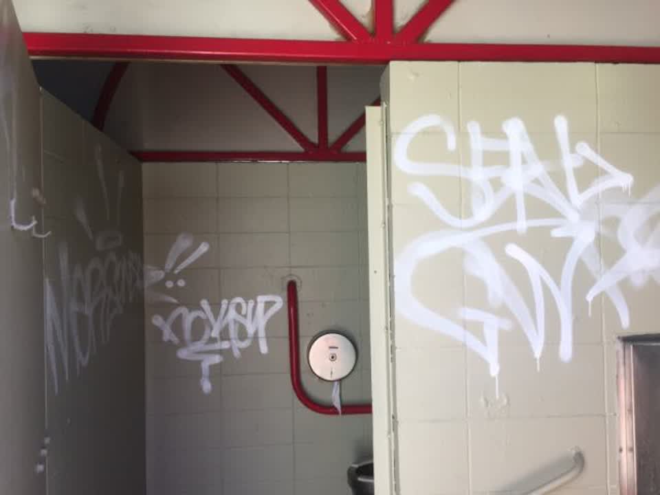 The photograph attached to this graffiti report