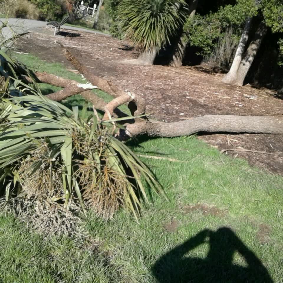 The photograph attached to this parks report