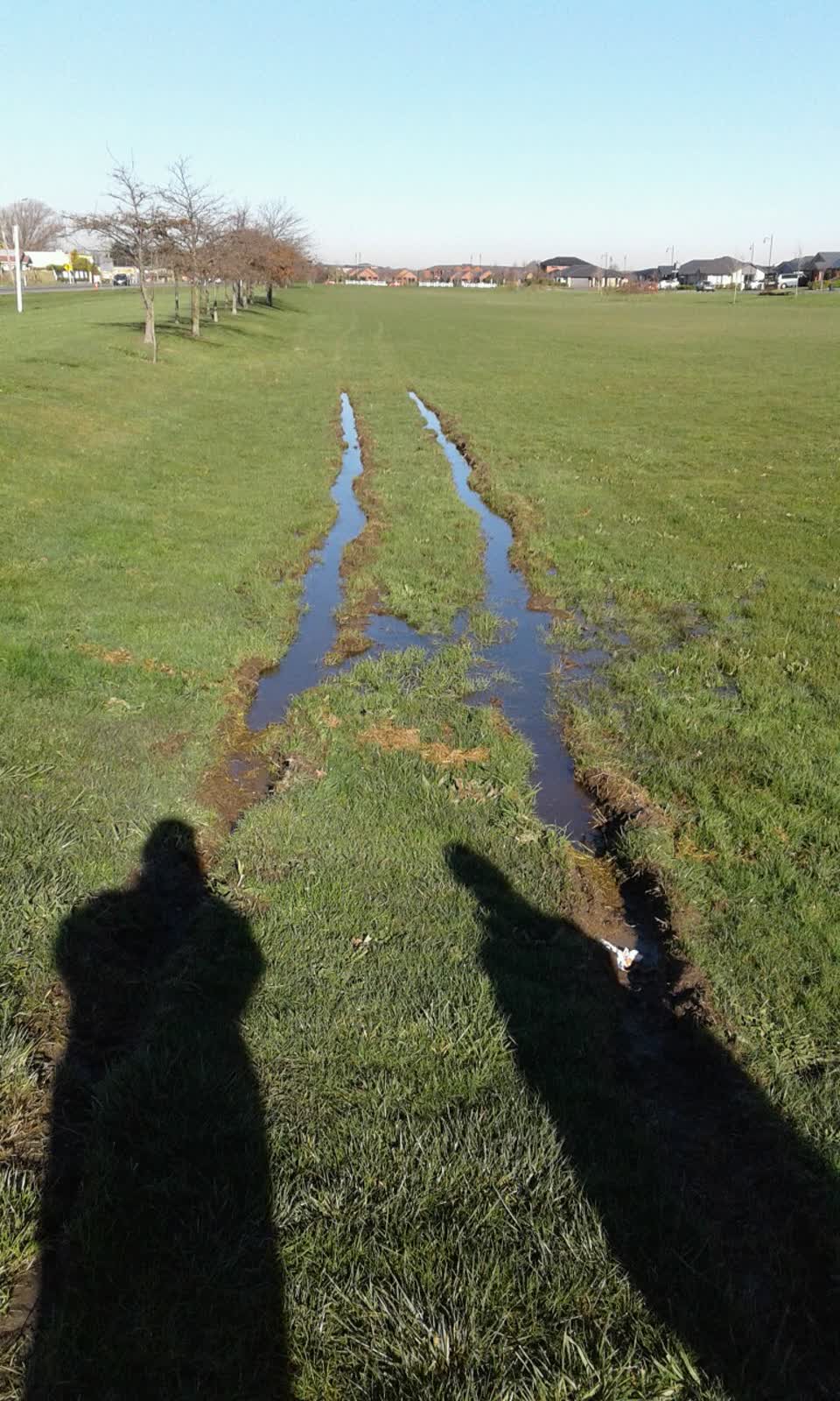 The photograph attached to this parks report