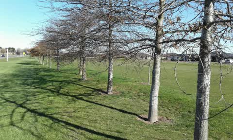 Parks, a report photo