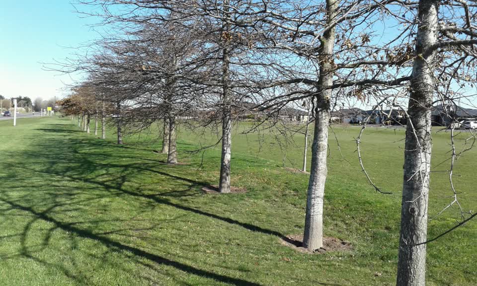 The photograph attached to this parks report