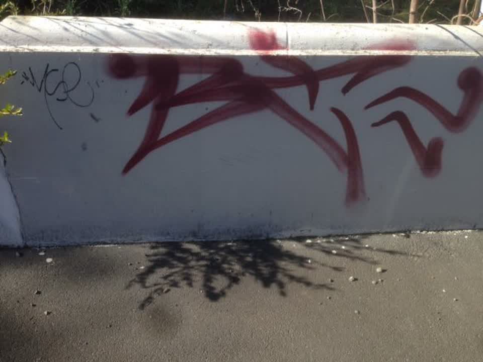 The photograph attached to this graffiti report