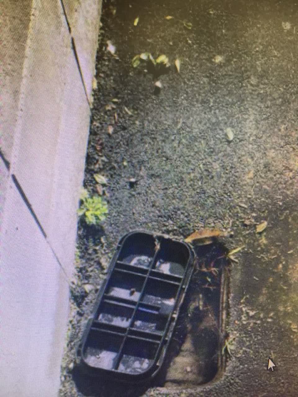 The photograph attached to this water supply report