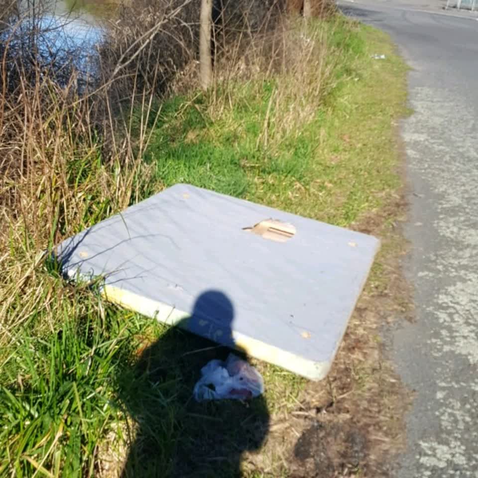 The photograph attached to this rubbish/recycling report