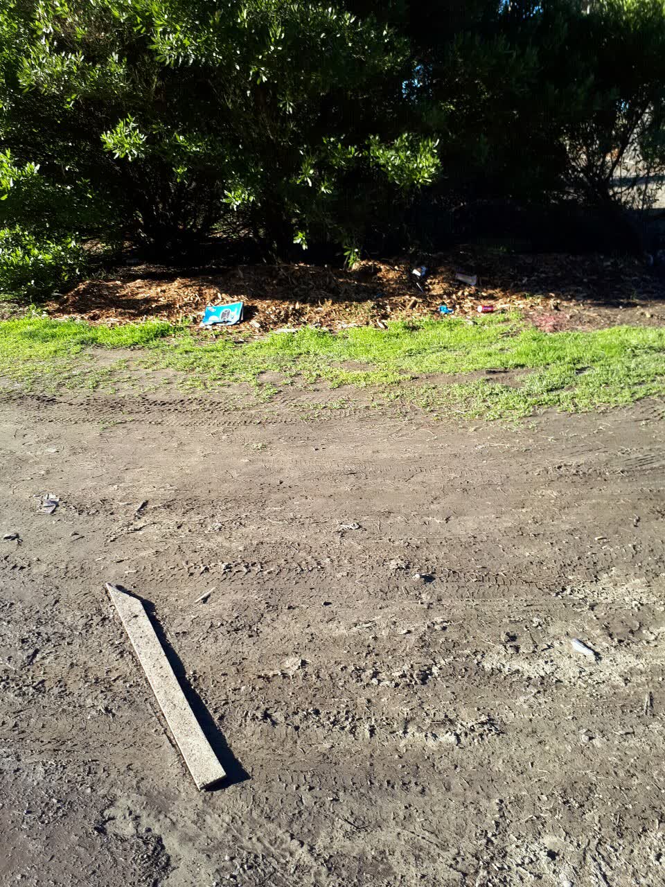 The photograph attached to this parks report