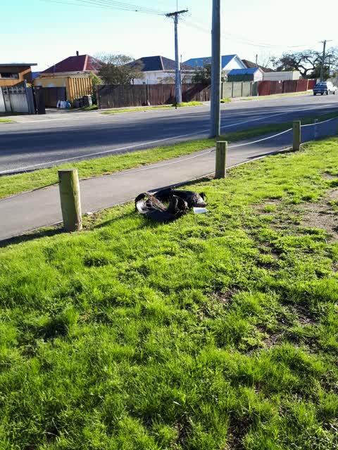 Parks, a report photo