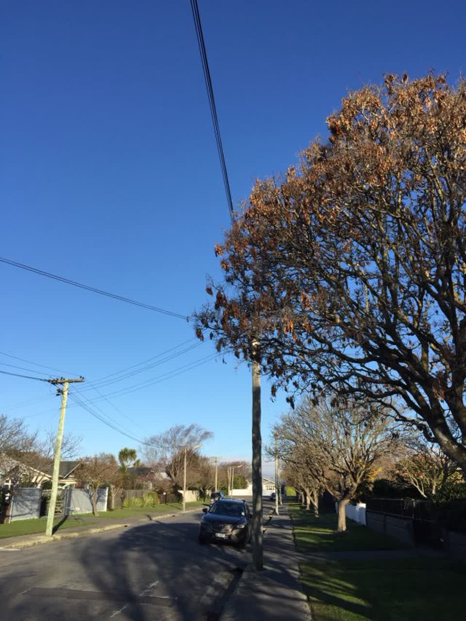 The photograph attached to this roading/streets report