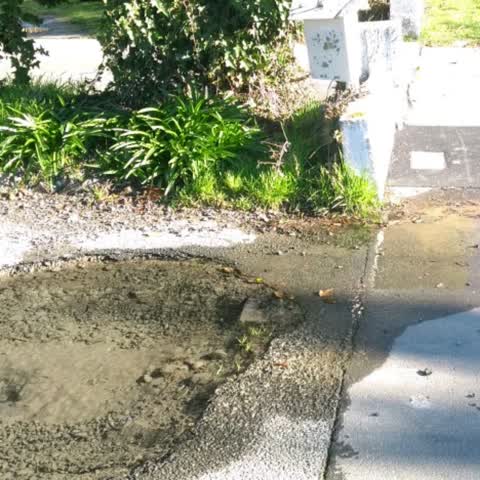 Water Supply, a report photo