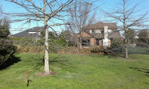 Parks, a report photo