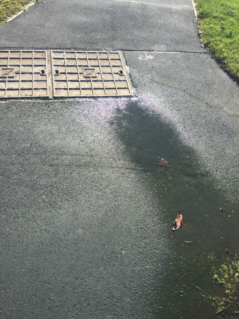 The photograph attached to this water supply report