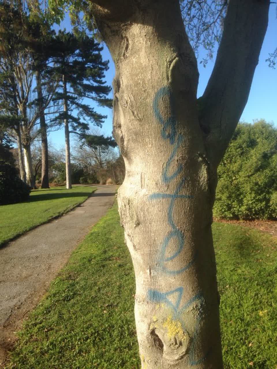 The photograph attached to this graffiti report