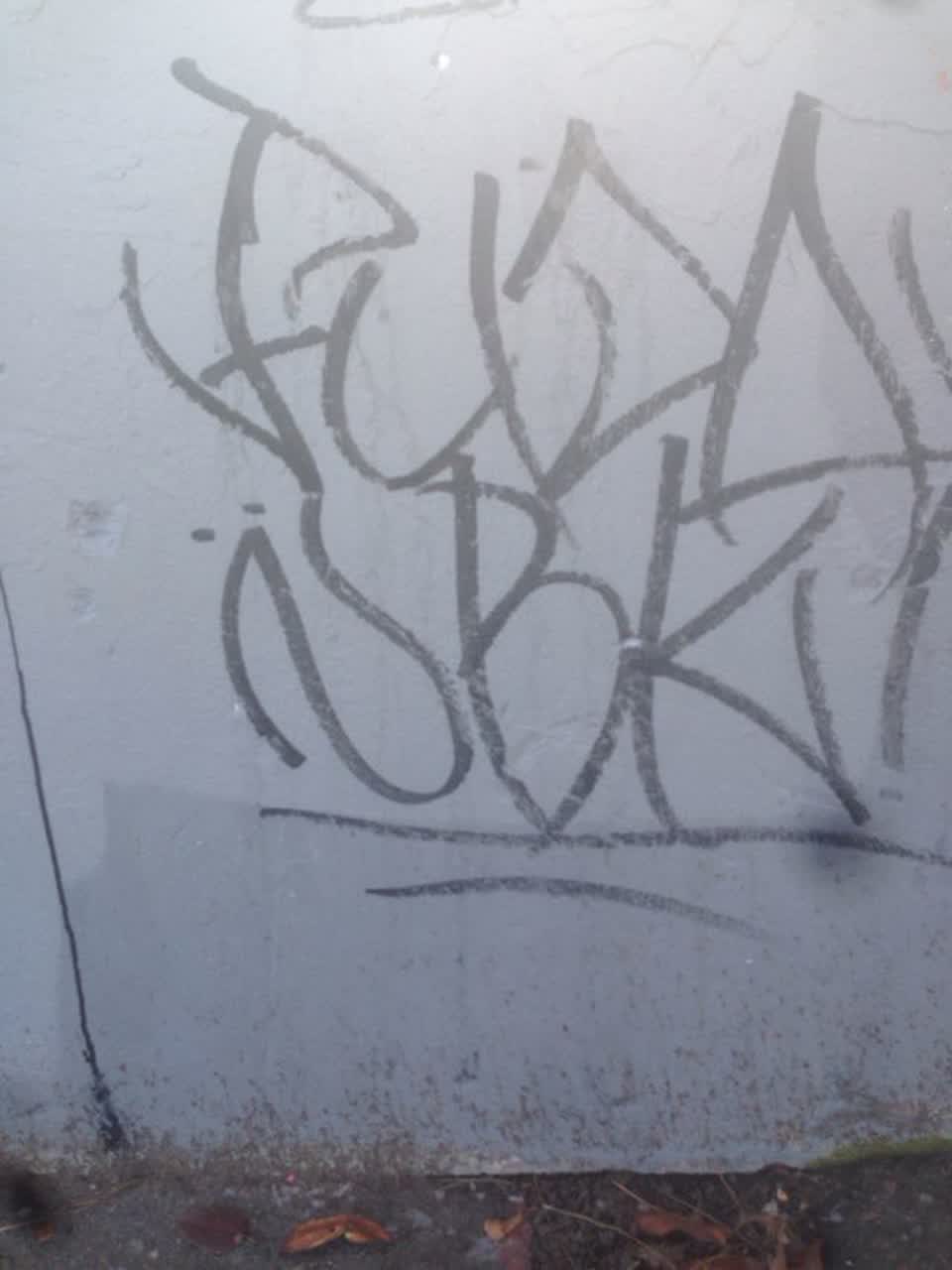 The photograph attached to this graffiti report