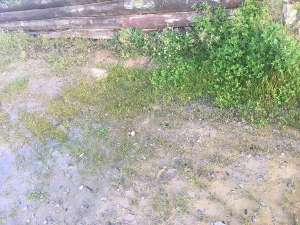 The photograph attached to this wastewater/stormwater report