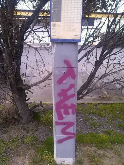 Graffiti, a report photo