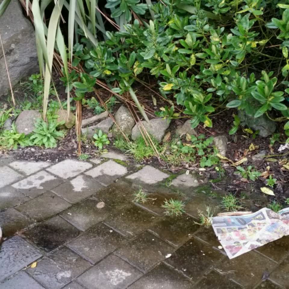 The photograph attached to this wastewater/stormwater report