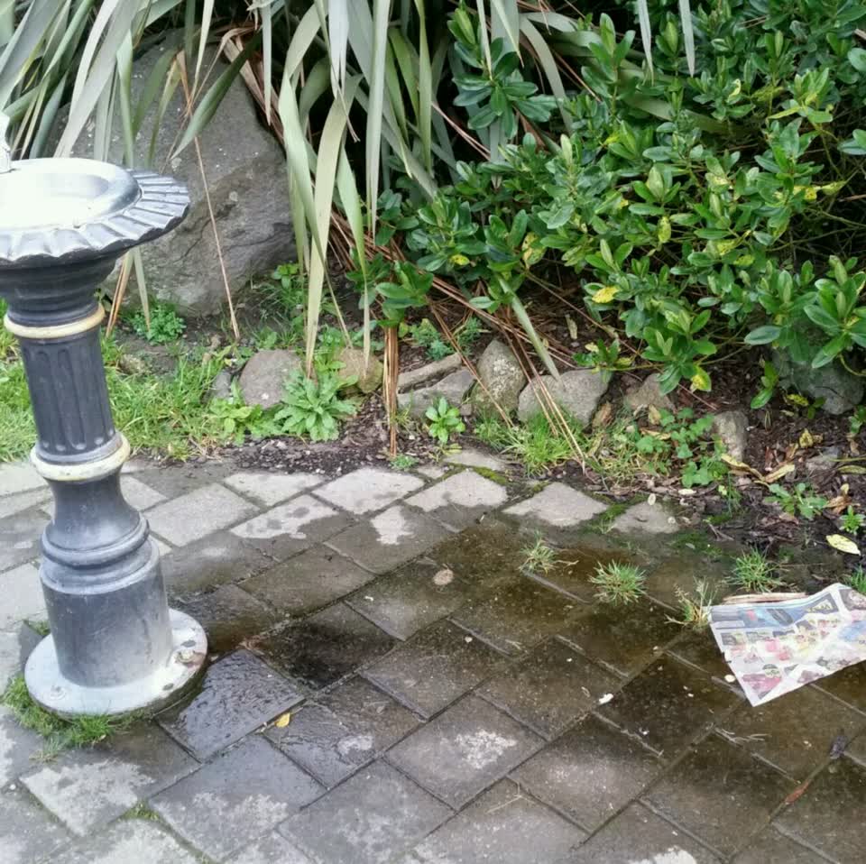 The photograph attached to this wastewater/stormwater report