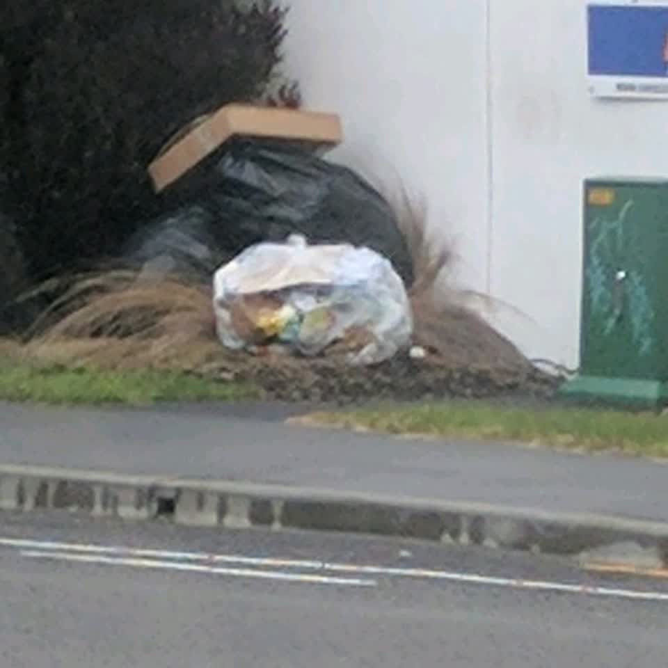 The photograph attached to this rubbish/recycling report