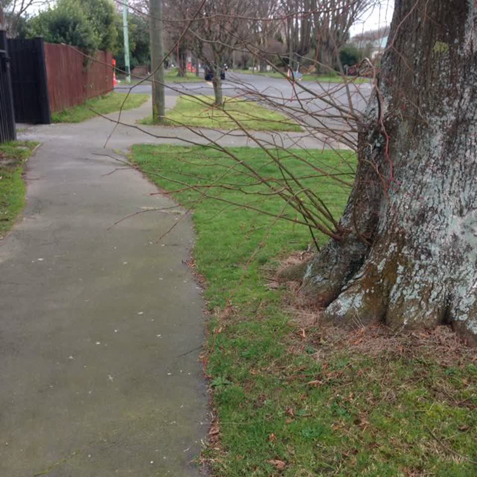 The photograph attached to this roading/streets report