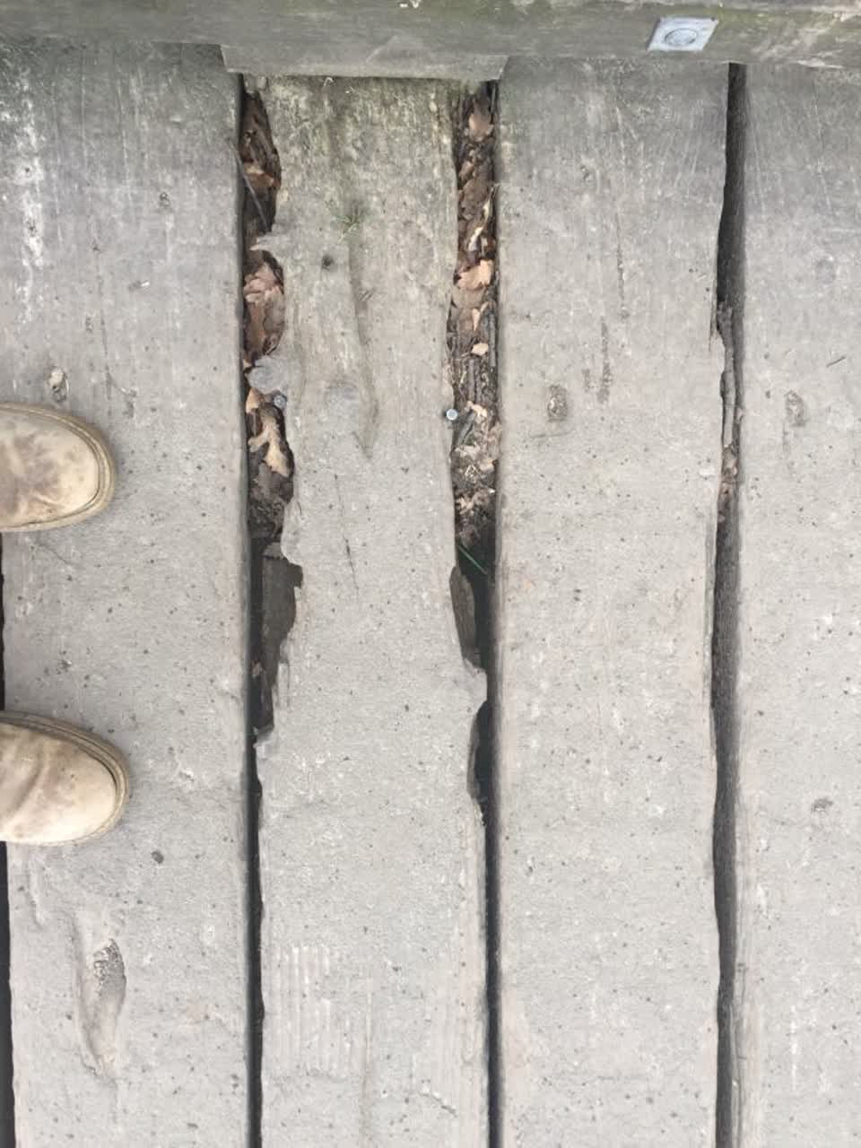 The photograph attached to this parks report