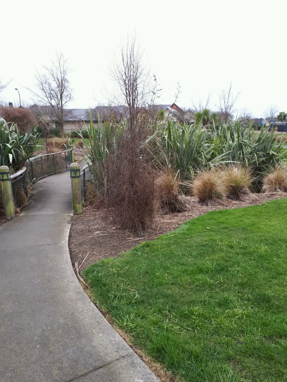 The photograph attached to this parks report