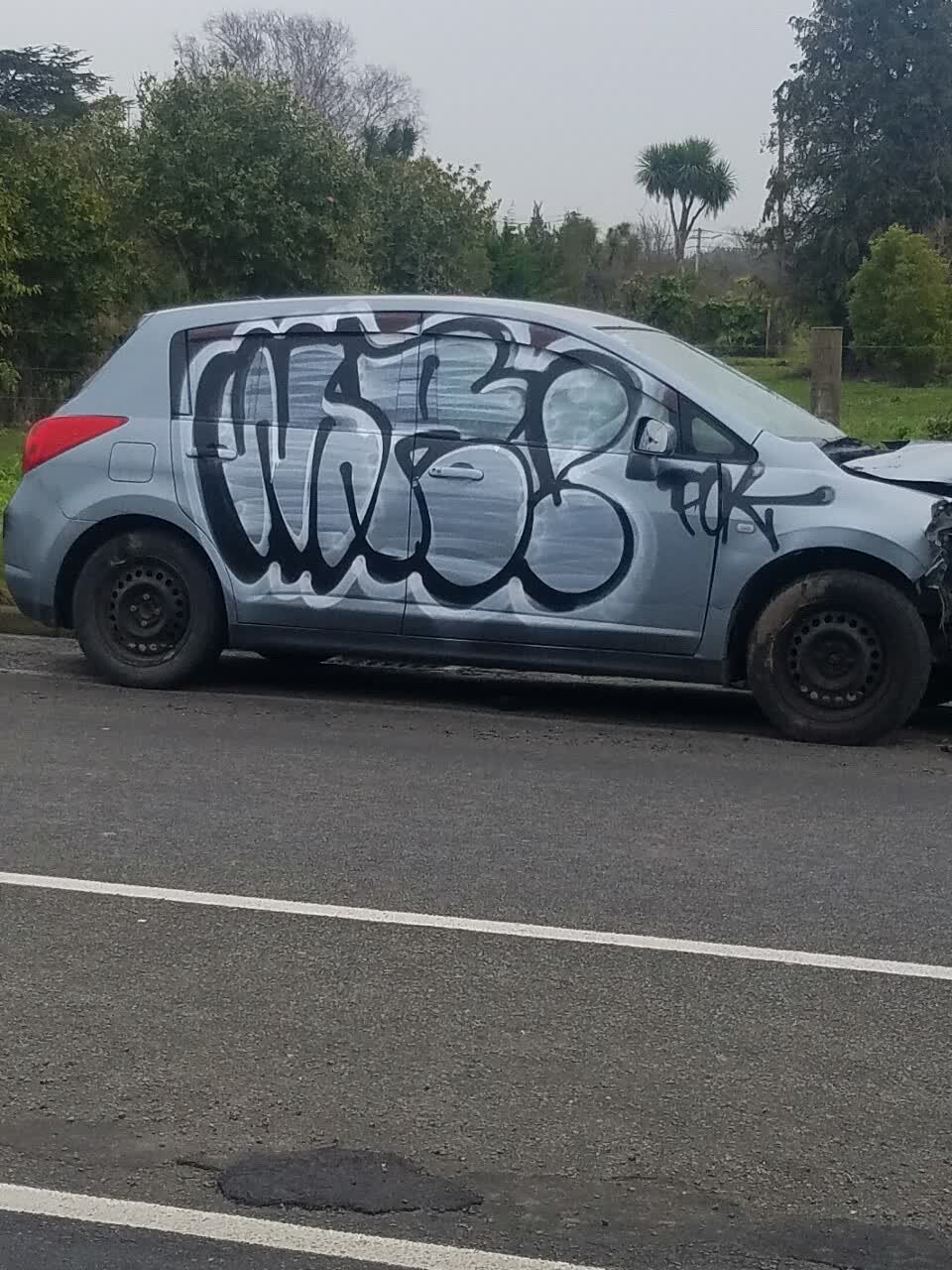 The photograph attached to this graffiti report