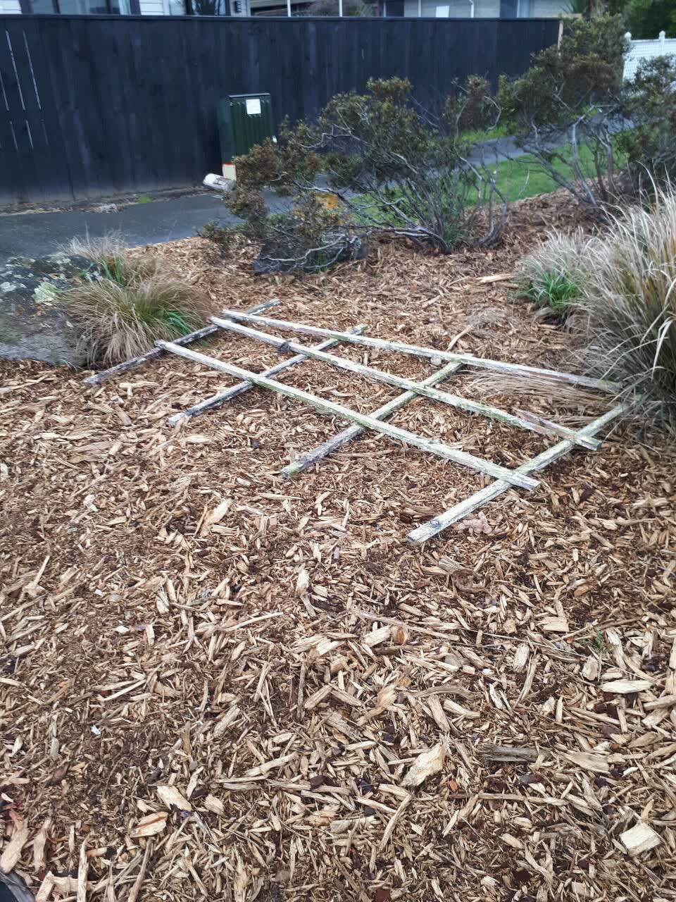 The photograph attached to this parks report
